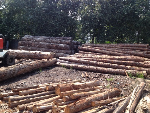 �S���h��5